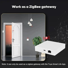 THP10-Z-X Smart Wired Gateway Pro | Matter, Zigbee & Thread Hub Chayo