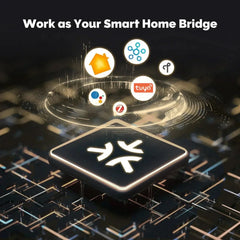 THP10-Z-X Smart Wired Gateway Pro | Matter, Zigbee & Thread Hub Chayo